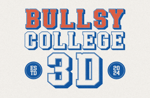 Bullsy College 3D: Understanding Its Bold Style and When It Fits Your Project