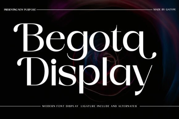 Designing with Purpose: The Begota Display Serif