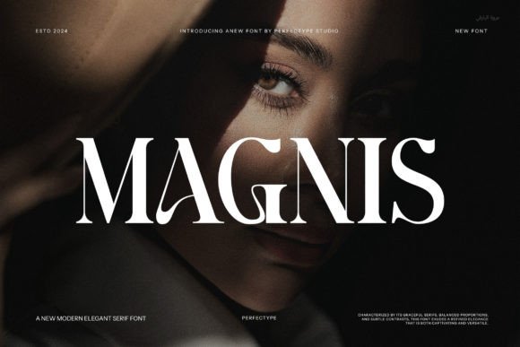 Magnis: A Detailed Look at This Stylish Serif Font for Modern Design