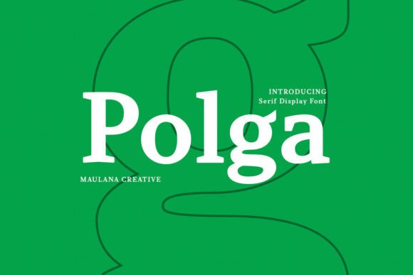 Polga: The Perfect Balance of Modern Style and Classic Elegance